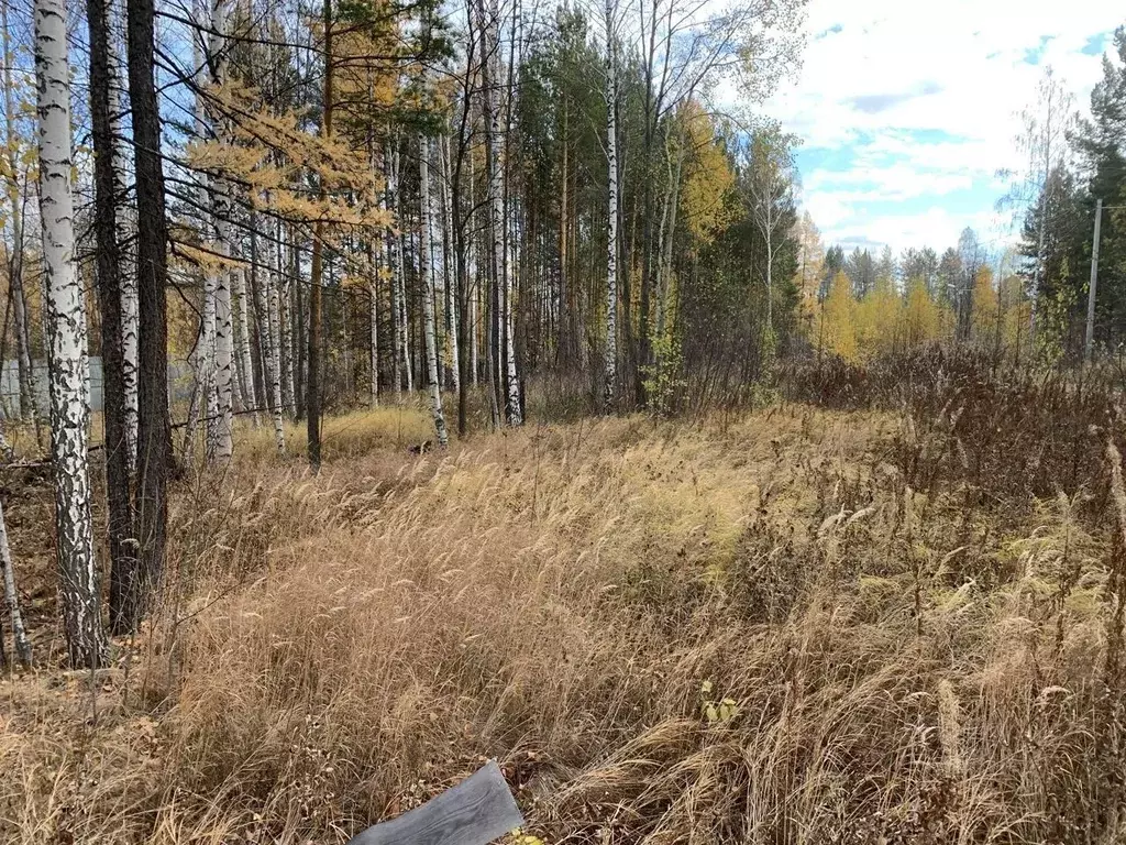 Участок в Свердловская область, Дегтярск  (10.0 сот.) - Фото 1