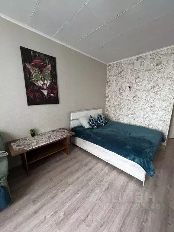 1-к кв. Новосибирская область, Новосибирск Тульская ул., 80 (32.0 м) - Фото 1