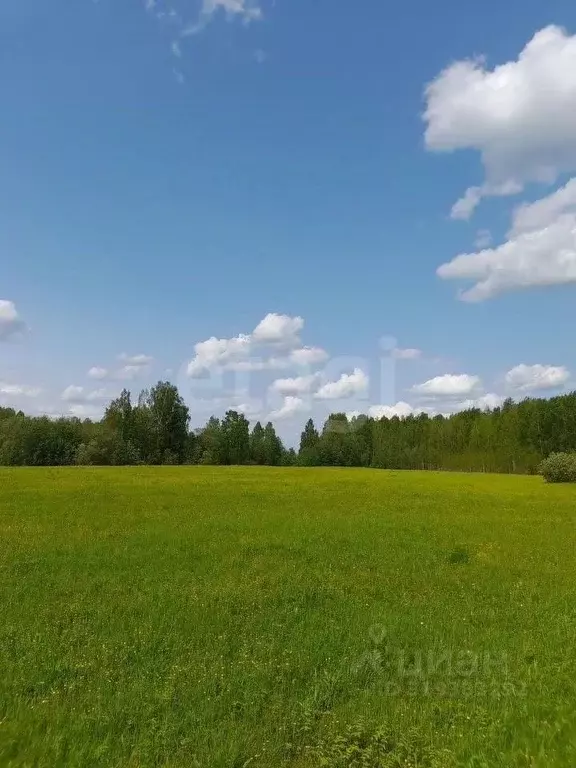 Участок в Коми, Корткеросский район, Посад СДТ  (10.0 сот.) - Фото 0