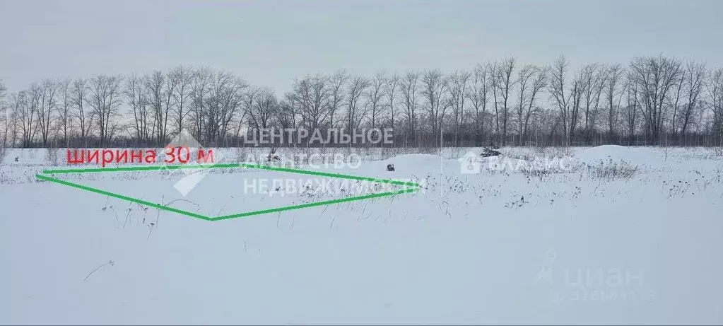 Участок в Рязанская область, Рязанский муниципальный округ, д. ... - Фото 1