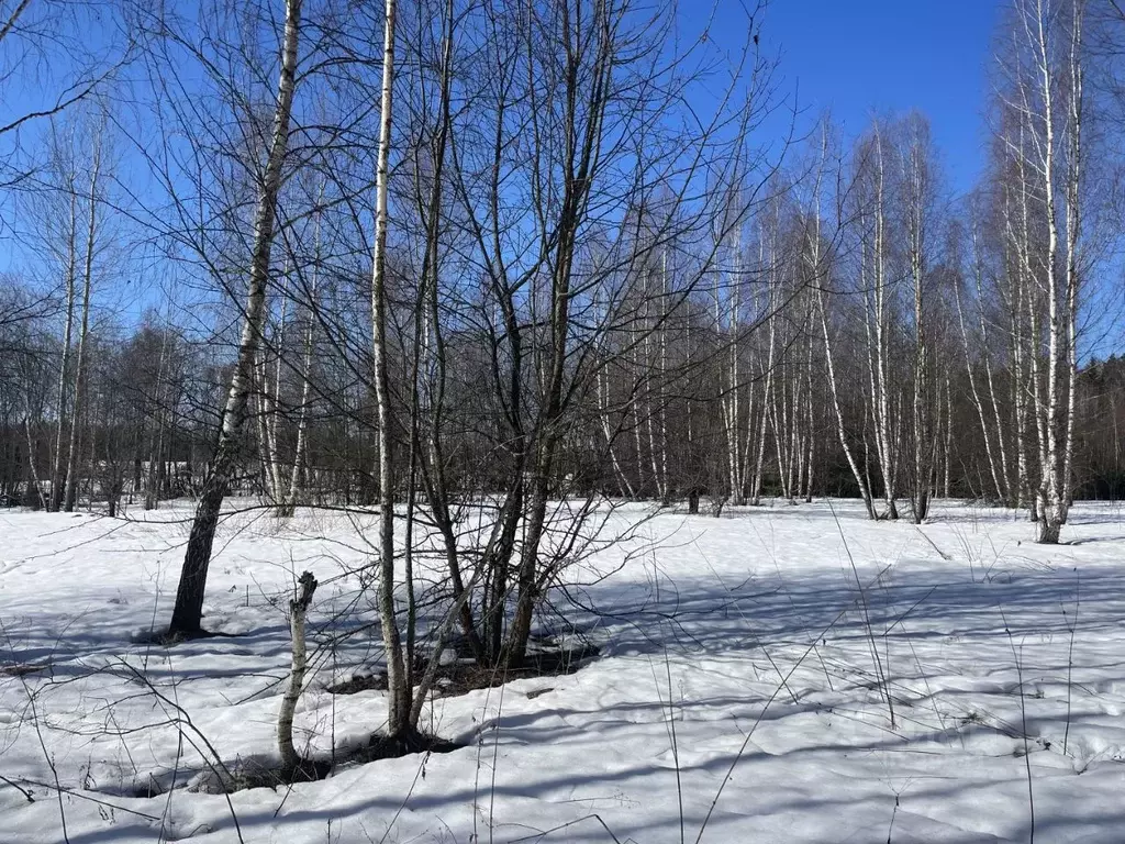 Участок в Московская область, Рузский городской округ, д. Таблово  ... - Фото 0