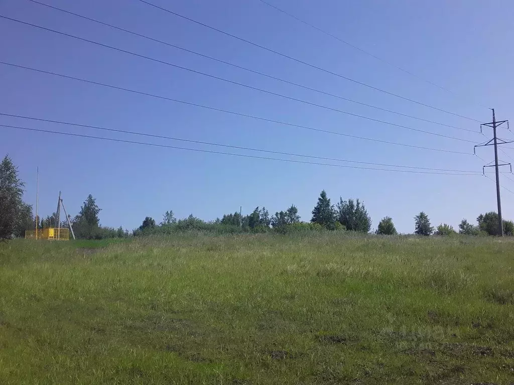Участок в Курганская область, Шадринск Солнечная поляна кп, 89 (11.33 ... - Фото 0