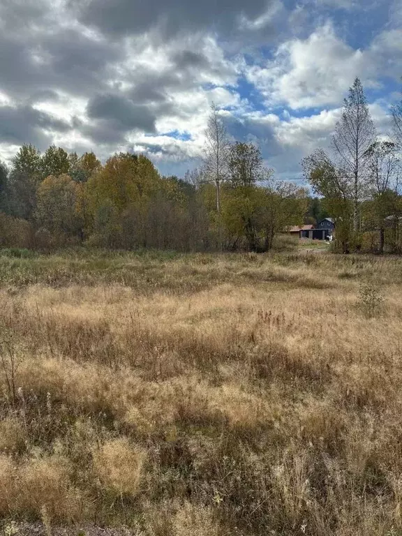 Участок в Ленинградская область, Приозерский район, Красноозерное ... - Фото 1