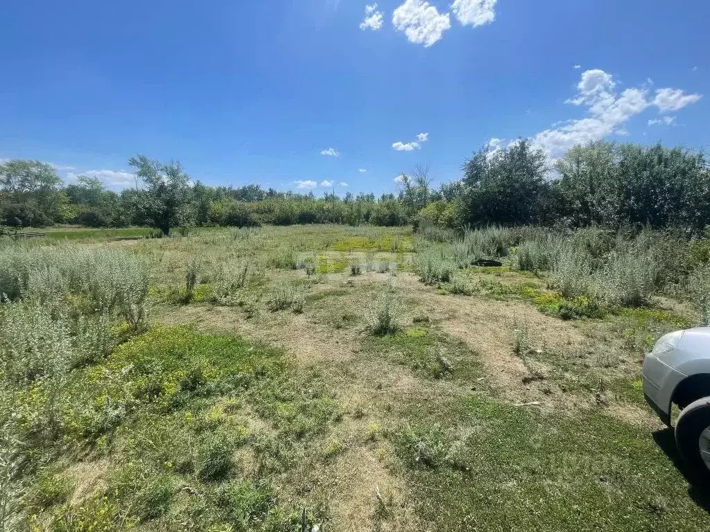 Участок в Курская область, Горшеченский район, Куньевский сельсовет, ... - Фото 1