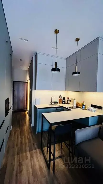 1-к кв. Краснодарский край, Сочи городской округ, Дагомыс пгт ш. ... - Фото 1