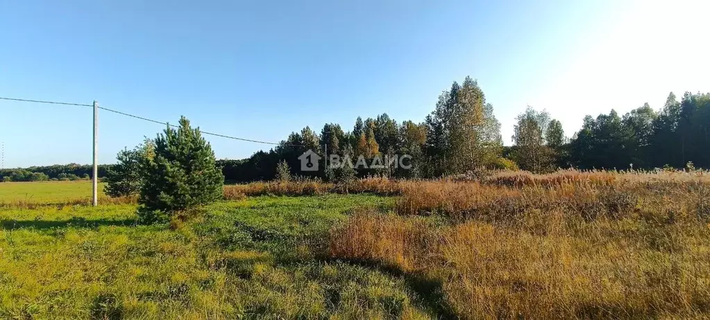 Участок в Владимирская область, Судогодский район, д. Суховка  (17.5 ... - Фото 1