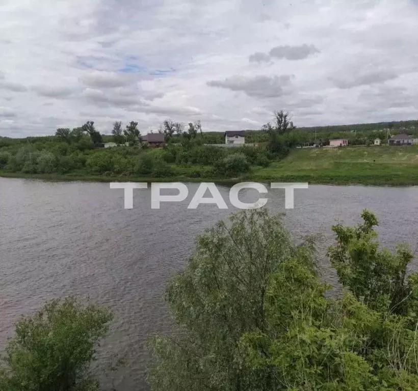 Участок в Воронежская область, Рамонский район, с. Ямное  (200.0 сот.) - Фото 2