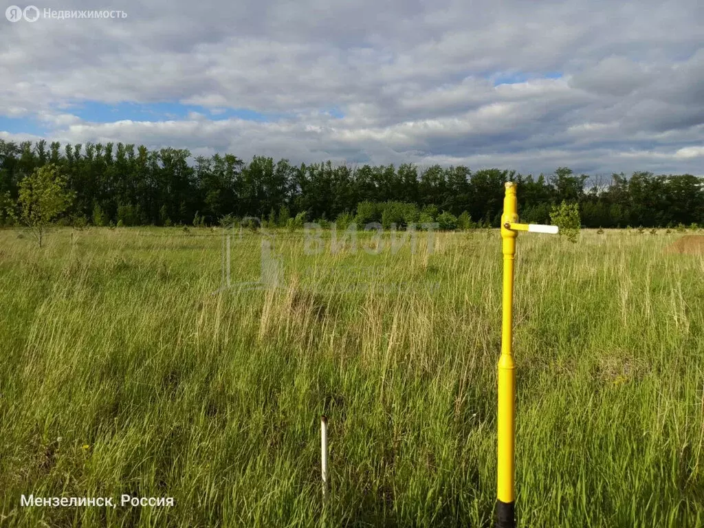 Участок в Мензелинск, Родниковая улица, 44 (10 м) - Фото 1