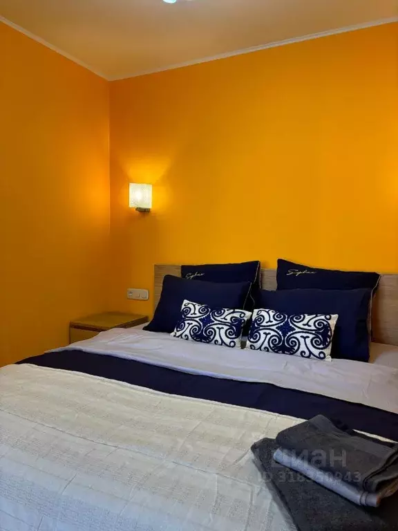 Студия Башкортостан, Уфа ул. Менделеева, 150/5 (45.0 м) - Фото 1