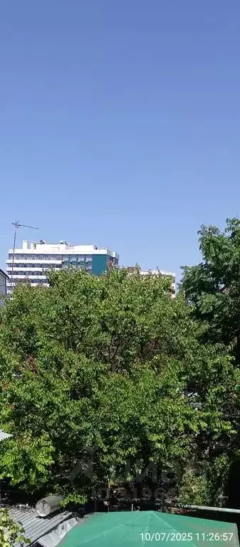 Комната Краснодарский край, Анапа ул. Горького, 61А - Фото 1