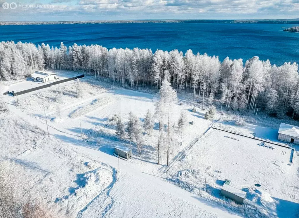 Участок в Пряжинский район, посёлок Чална (20 м) - Фото 2