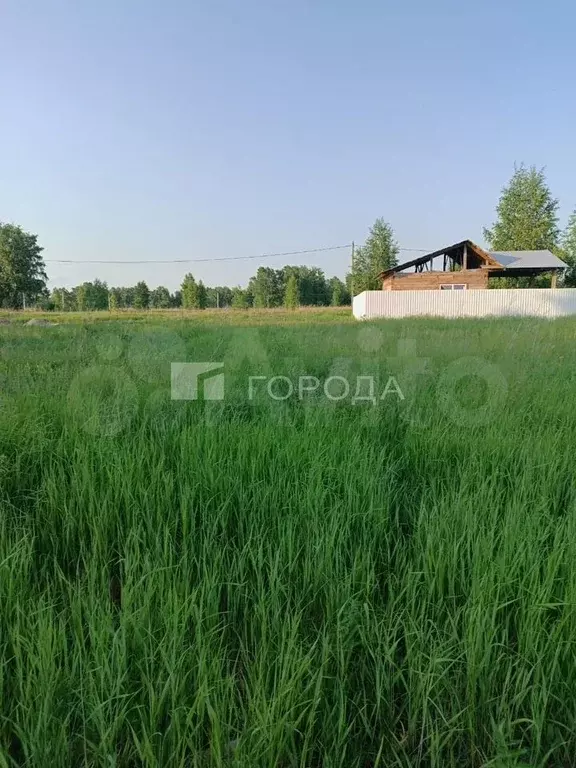 Участок 5 сот. (СНТ, ДНП) - Фото 0