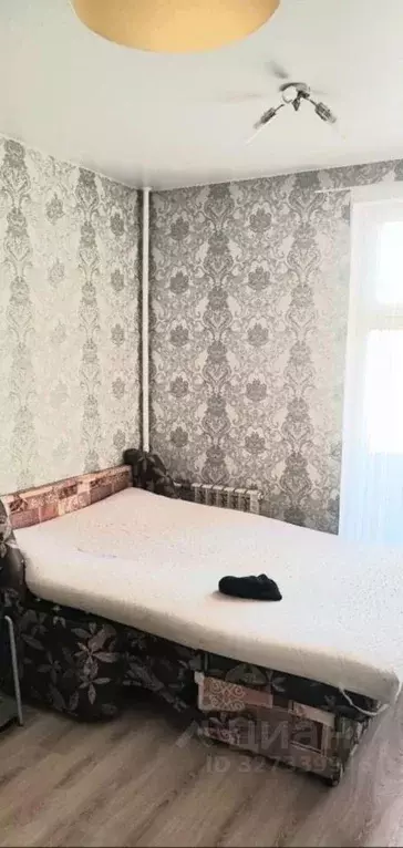 Студия Новосибирская область, Новосибирск ул. Забалуева, 90 (19.0 м) - Фото 2