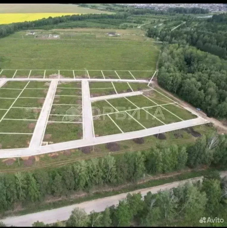 Участок в Тюменская область, Тюменский муниципальный округ, Победа кп  ... - Фото 1