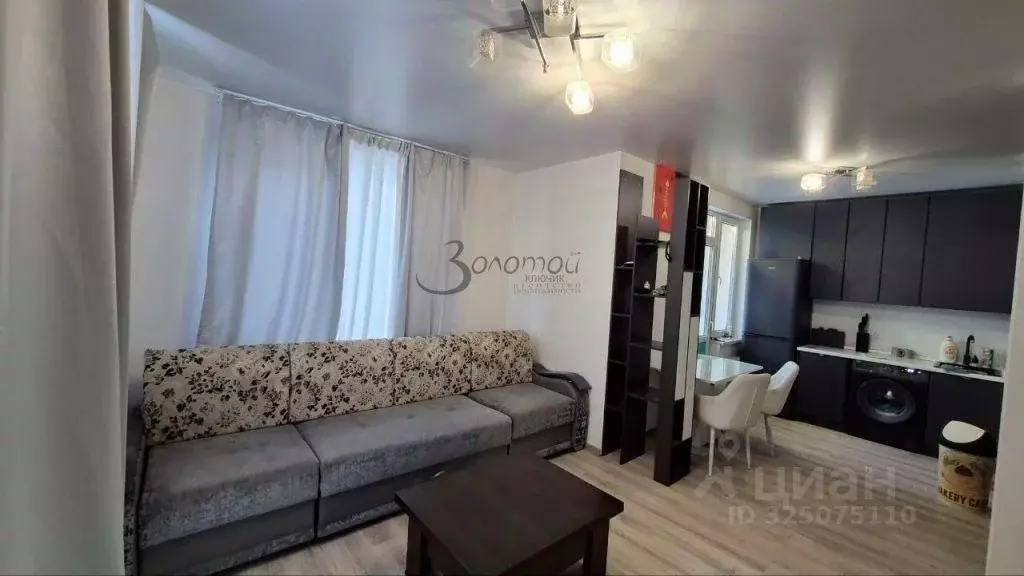 1-к кв. Нижегородская область, Нижний Новгород д. Анкудиновка, ул. ... - Фото 2