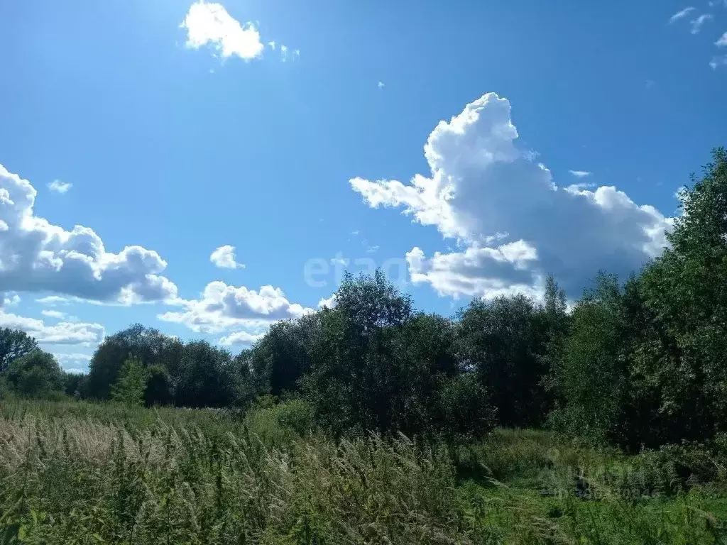 участок в смоленская область, смоленский муниципальный округ, . - Фото 0