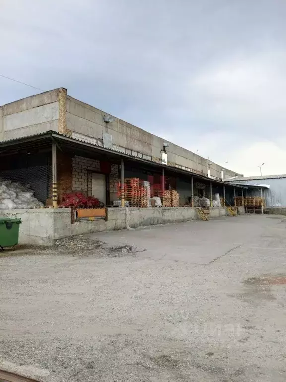 Склад в Пензенская область, Пенза ул. Чаадаева (8400 м) - Фото 1