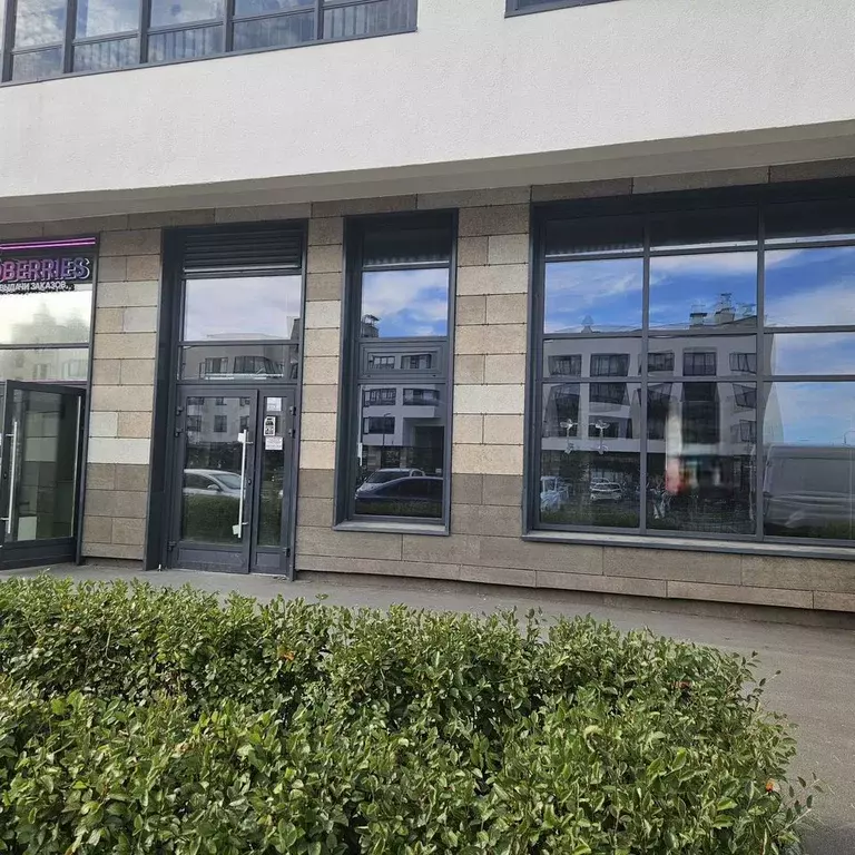 Помещение свободного назначения в Санкт-Петербург ул. Владимира ... - Фото 0