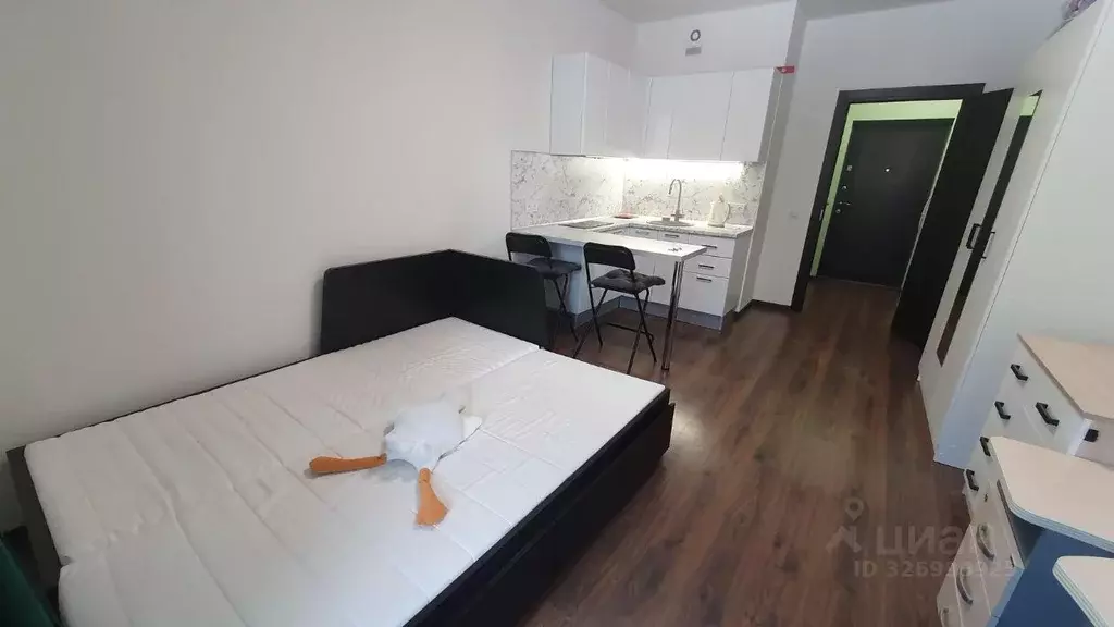 Студия Ленинградская область, Мурино Всеволожский район, ул. Шувалова, ... - Фото 1