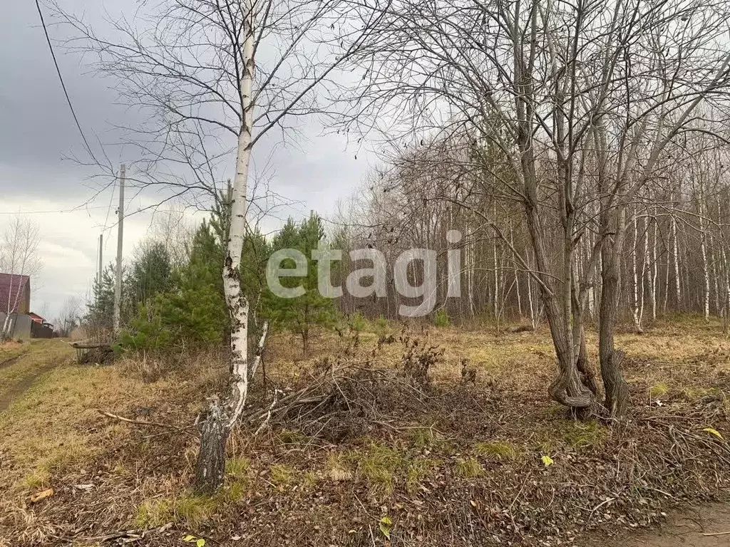 Участок в Красноярский край, Дивногорск городской округ, с. Овсянка  ... - Фото 1