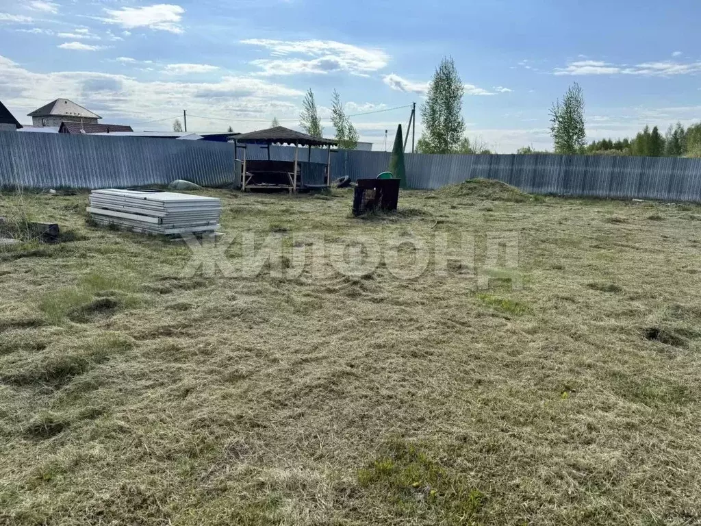 Участок в Новосибирская область, Новосибирский район, Толмачевский ... - Фото 2