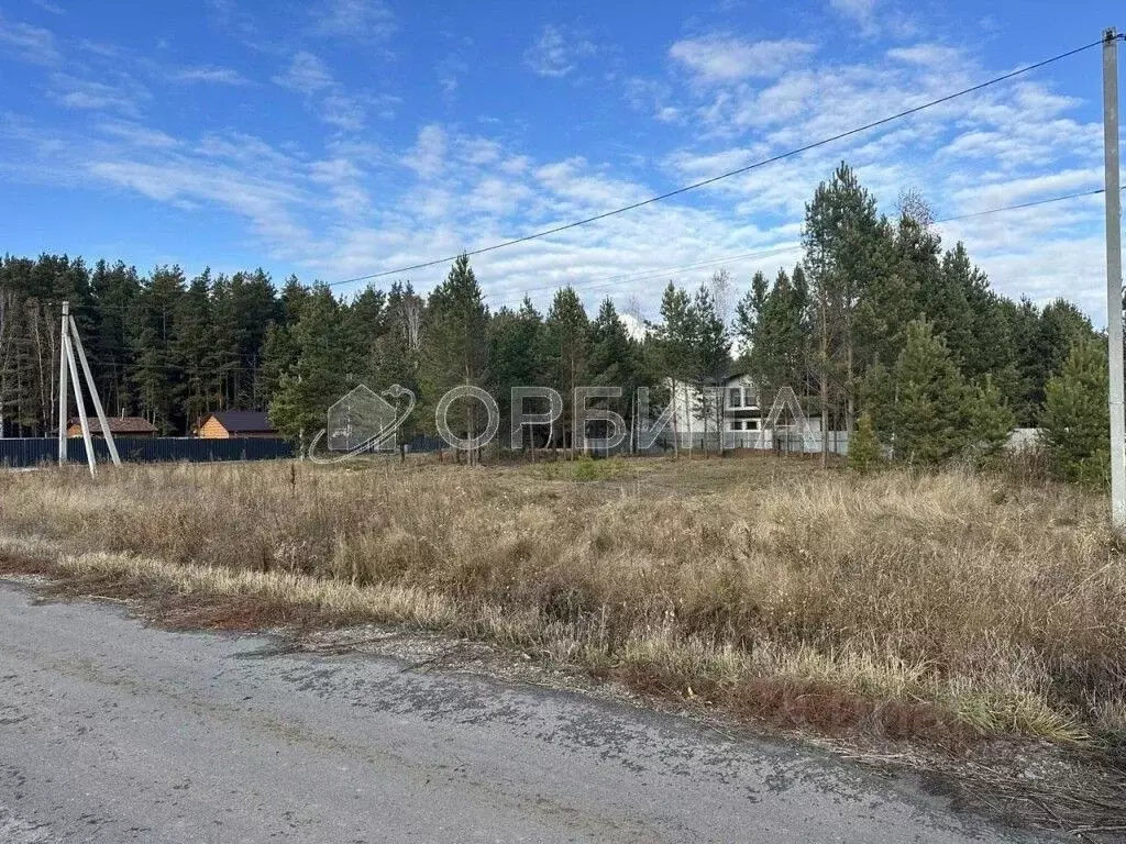 Участок в Тюменская область, Тюменский муниципальный округ, д. Черная ... - Фото 1