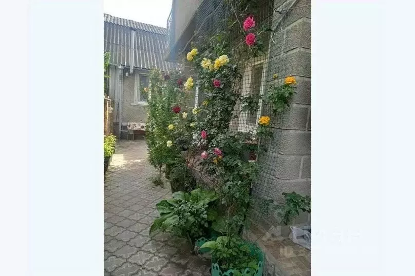 Дом в Крым, Феодосия муниципальный округ, Коктебель пгт ул. Ленина, ... - Фото 2