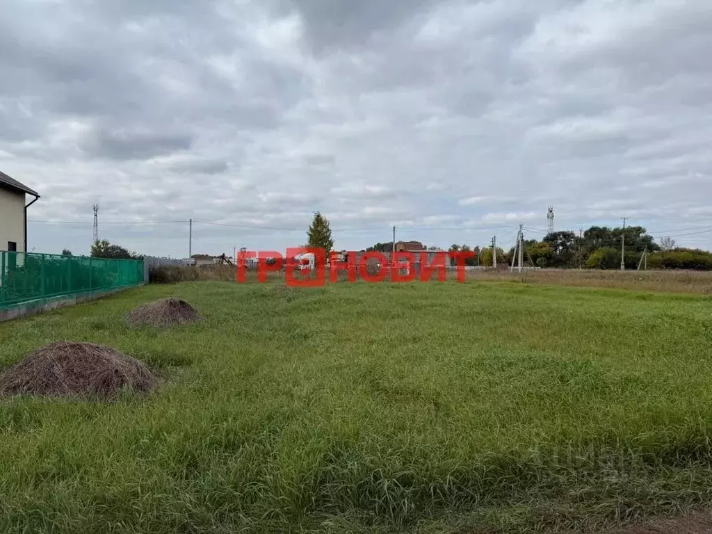 Участок в Новосибирская область, Новосибирский район, Верх-Тулинский ... - Фото 2