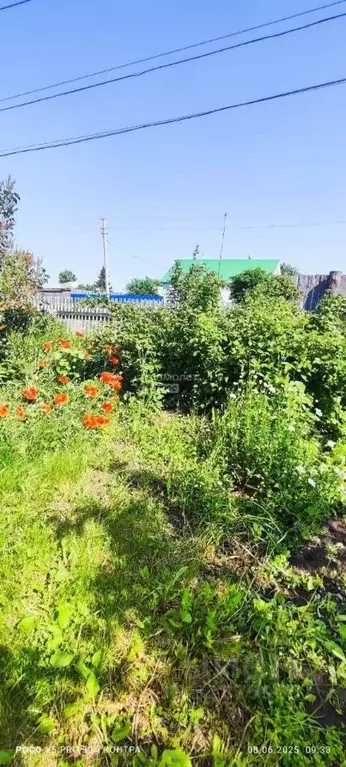 Дом в Тюменская область, с. Армизонское  (56 м) - Фото 1