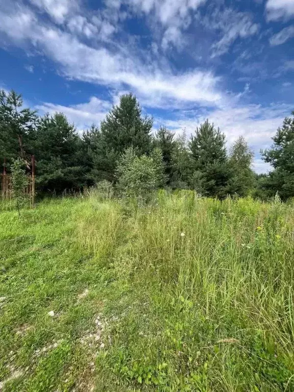 Участок в Тульская область, Алексин городской округ, д. Мясоедово  ... - Фото 1