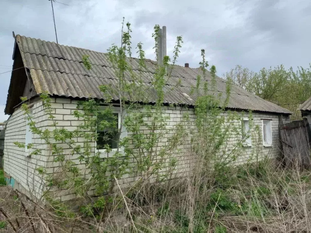 Дом в Белгородская область, Губкинский городской округ, с. Богословка ... - Фото 1