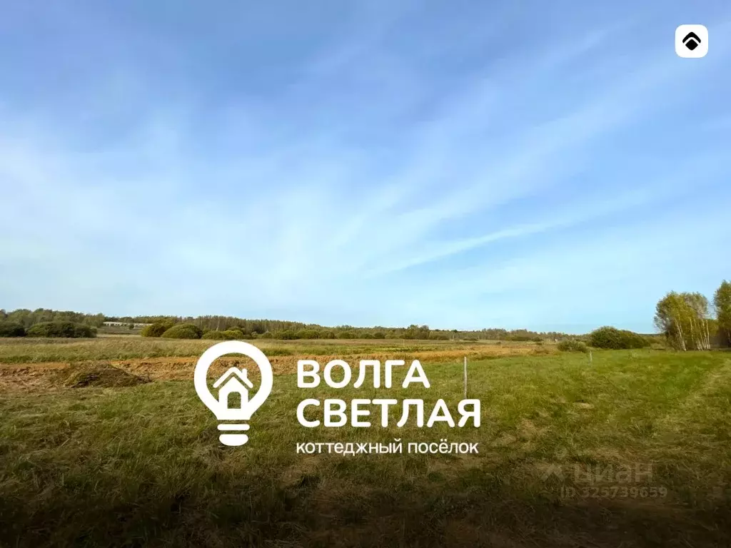 Участок в Ярославская область, Угличский муниципальный округ, Волга ... - Фото 1