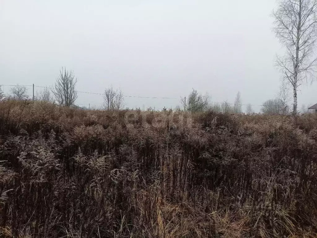 Участок в Брянская область, Брянский район, Добрунское с/пос, БЭМЗ СДТ ... - Фото 1