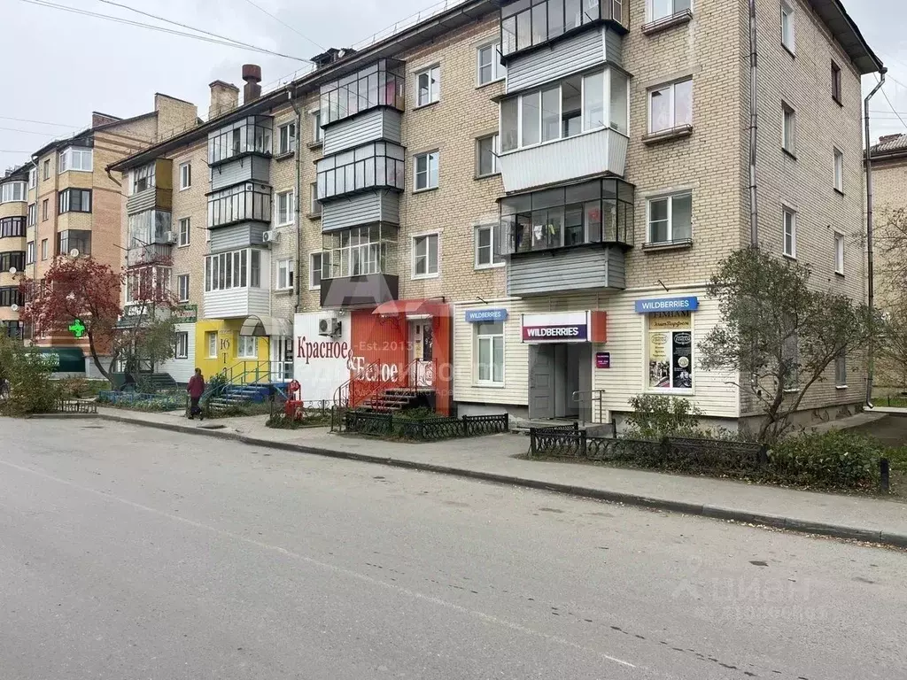 Торговая площадь в Челябинская область, Чебаркуль ул. Карпенко, 3 (86 ... - Фото 0