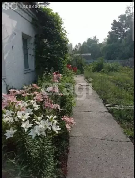 Дом в Райчихинск, Тенистая улица (150 м) - Фото 1