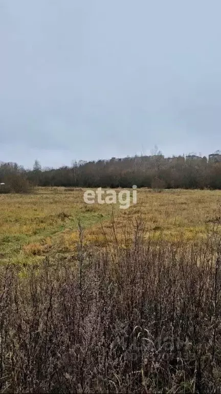 Участок в Ленинградская область, Ломоносовский район, д. Низино 55 ... - Фото 0