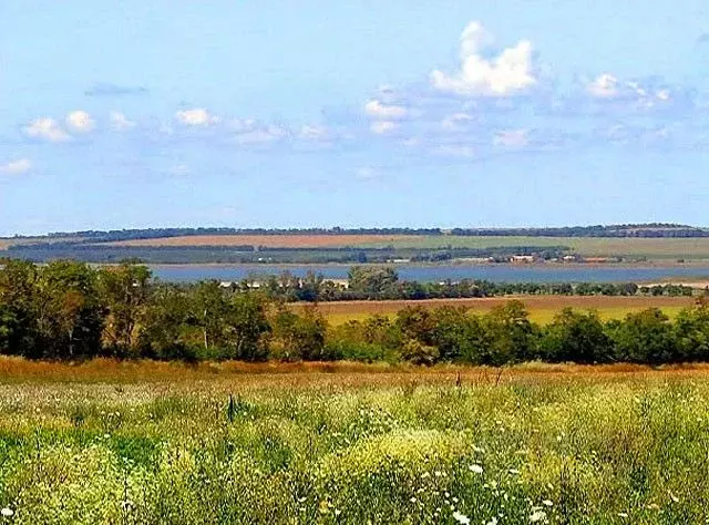 Участок в Краснодарский край, Тимашевский район, Днепровское с/пос, ... - Фото 0
