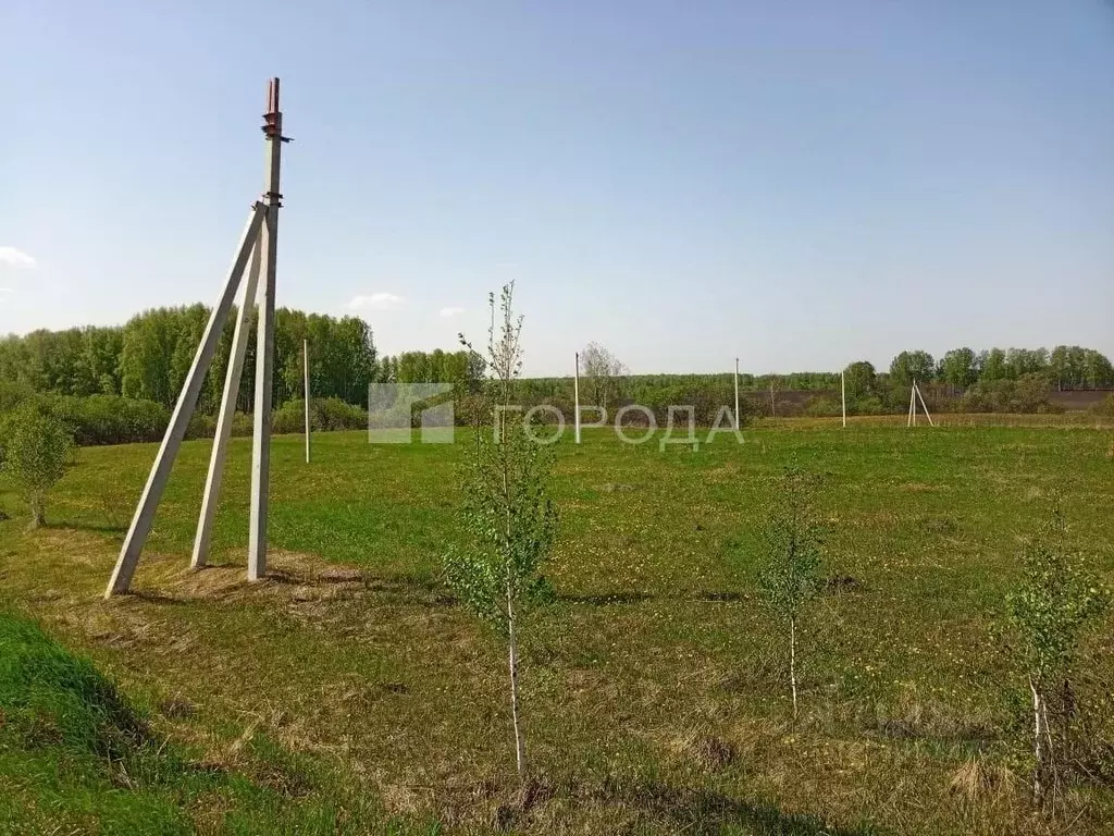 Участок в Новосибирская область, Мошковский район, с. Томилово  (100.0 ... - Фото 0