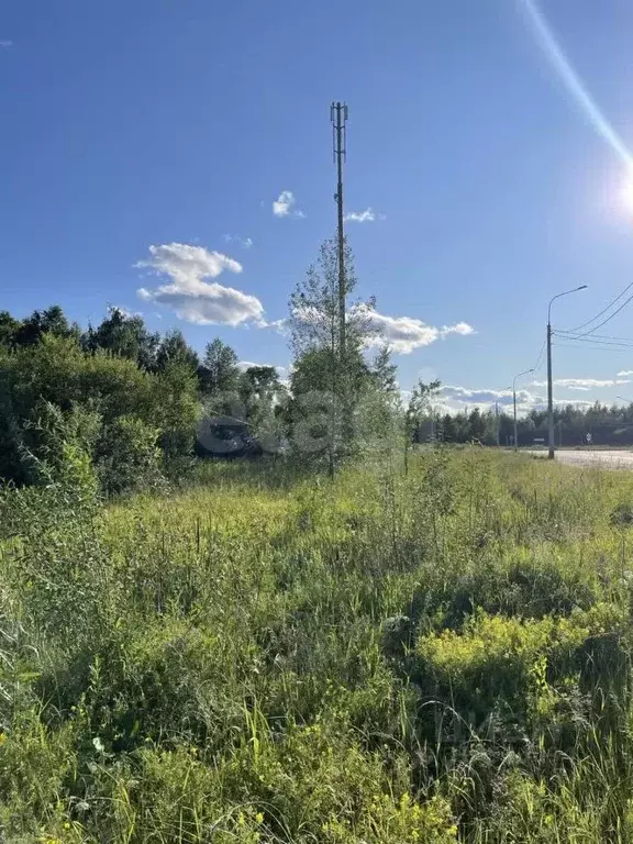 Участок в Архангельская область, Котлас ул. Степана Разина (10.0 сот.) - Фото 1