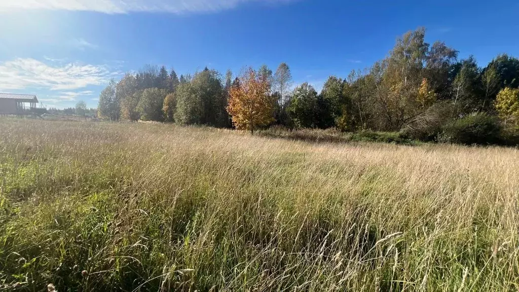 Участок в Московская область, Истра ул. Ленина, Река Истра (11.37 ... - Фото 2