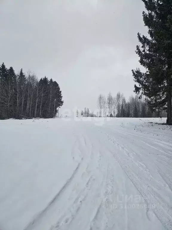 Участок в Пермский край, Добрянский городской округ, д. Залесная  (7.9 ... - Фото 0