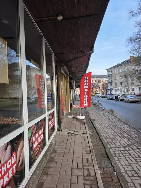 Торговая площадь в Ярославская область, Ярославль ул. Белинского, 26А ... - Фото 2