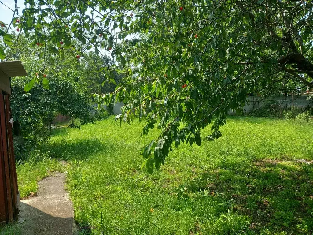 Дом в Кореновск, Дядьковская улица, 4 (45 м) - Фото 1