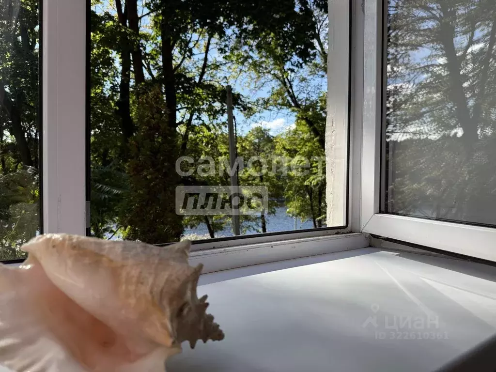 3-к кв. Калининградская область, Светлогорск Калининградский просп., ... - Фото 2