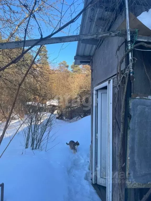 Участок в Московская область, Наро-Фоминский городской округ, пос. ... - Фото 1