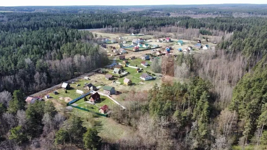 Участок в Ленинградская область, Приозерский район, Раздольевское ... - Фото 1