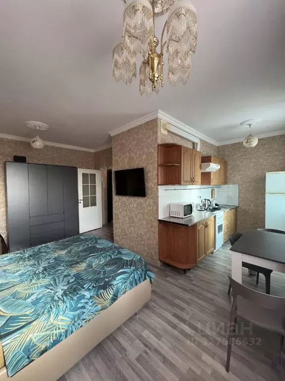 Студия Московская область, Щелково Богородский мкр, 15 (30.0 м) - Фото 1