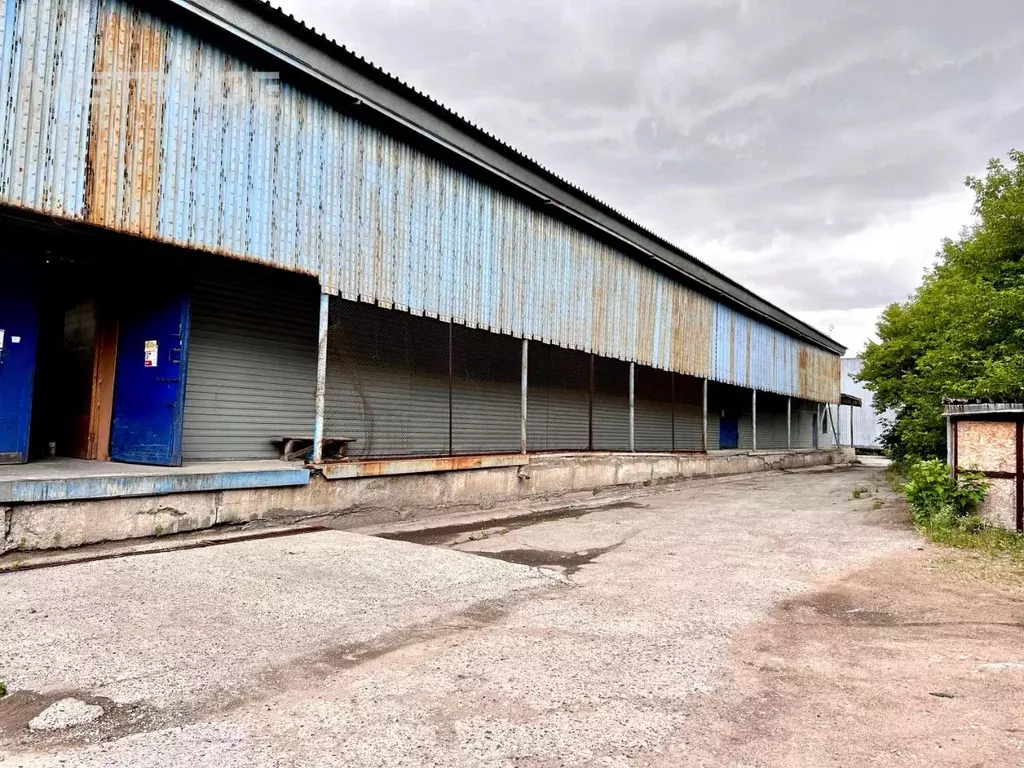 Помещение свободного назначения в Новосибирская область, Новосибирск ... - Фото 2