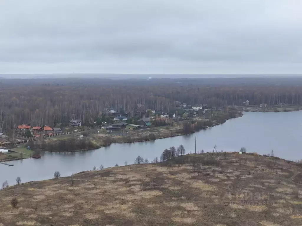 Участок в Московская область, Чехов городской округ, Филипповское кп ... - Фото 1