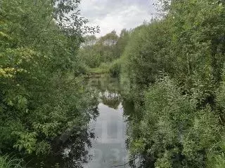 Участок в Ярославская область, Ярославский муниципальный округ, ... - Фото 2